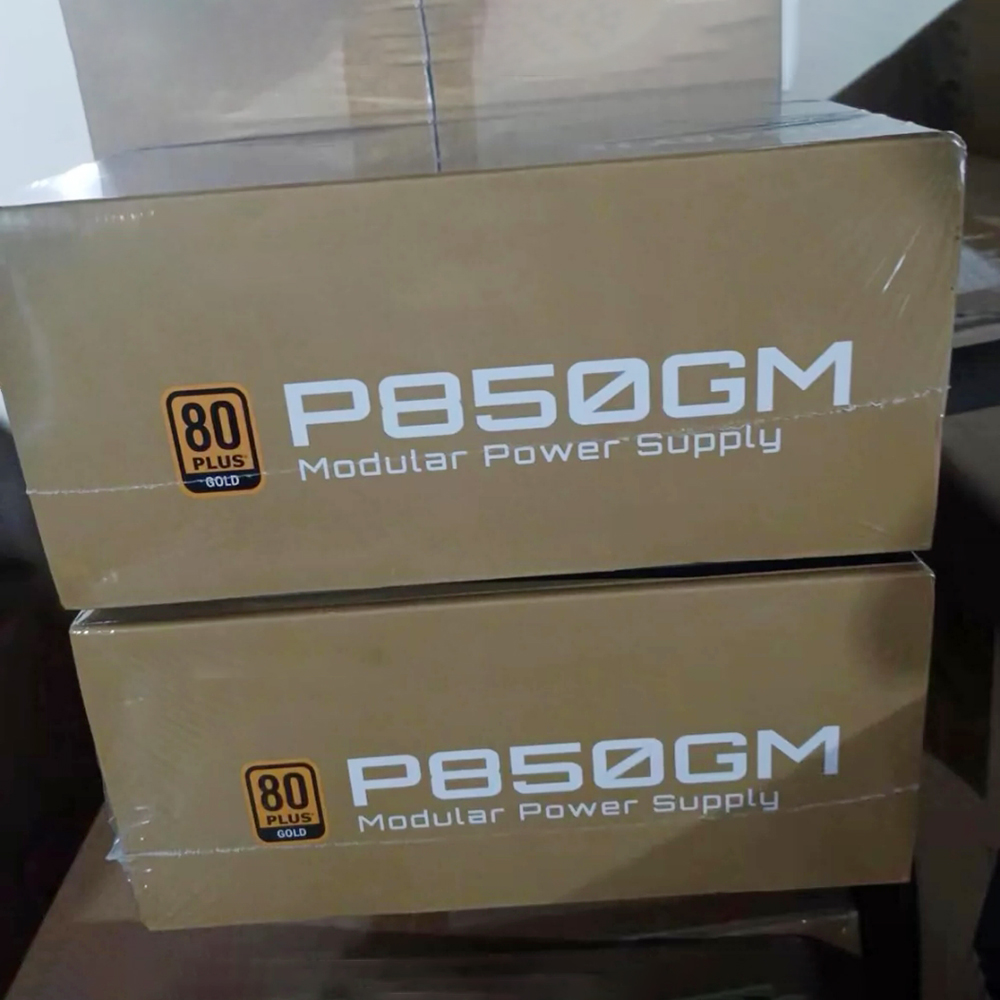 GP-P850GM 850W P850GM ATX 12V  – Atx Power Supply Bewertung und Preis